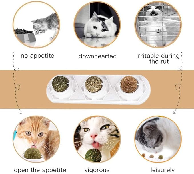 Catnip Wall Ball Toys – Rotatable Cat Snack Edible Balls with Natural Healthy Catnip | Silvervine | Gall Nut, Kitten Playing Chewing Cleaning Teeth Toy