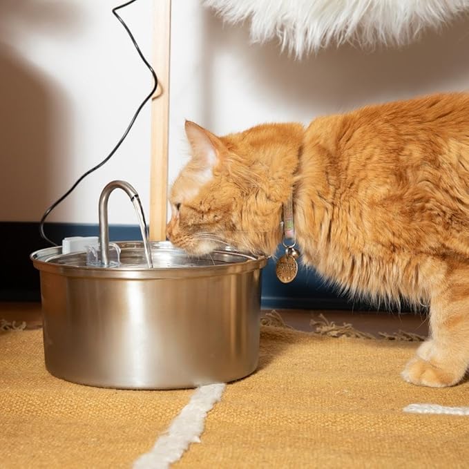 The KittySpout Stainless Steel Wireless Cat Water Fountain, 4L/108oz