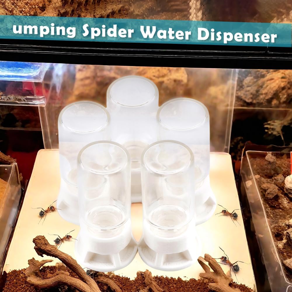 5 Pcs Jumping Spider Ant Water Feeder Bee Plastic Water Feeding Tarantula Water Bowl Spider Feeder (Capacity: 20ml)