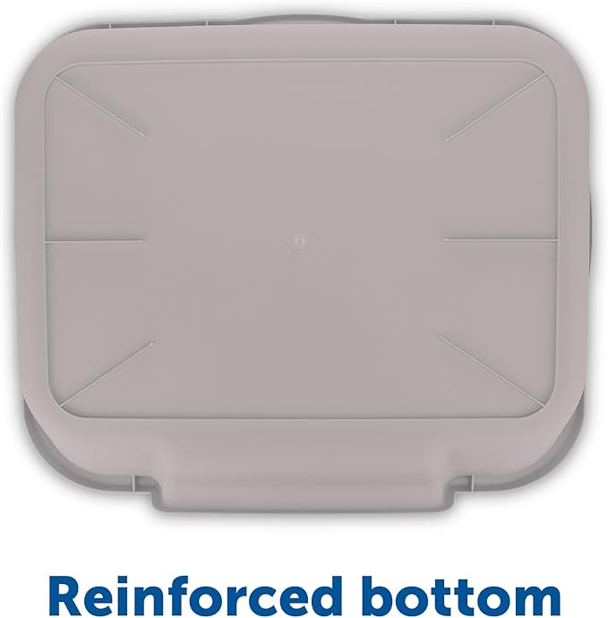 KittyGoHere Senior Cat Litter Box 1 Pack, Large Misty Gray Low Entrance Kitty Litter Box, Sized for Cats Comfort, Perfect for Senior and Arthritic Cats, Made in USA