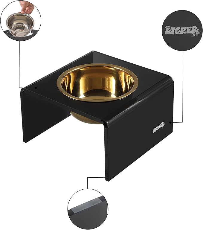 THE LICKER STORE DBL2002B Keaton 5" Small/Medium Modern Acrylic Rectangular Elevated Pet Feeder with 20oz 1-Stainless Steel Bowl, Black/Gold