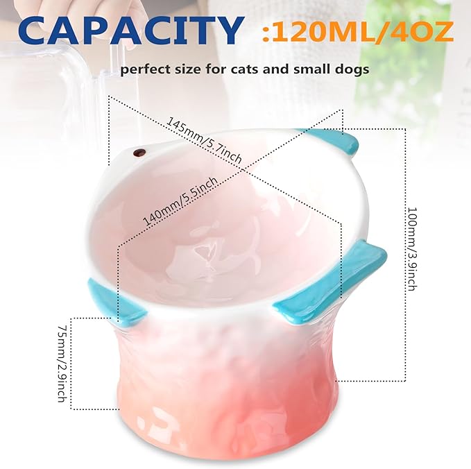 Tioncy 2 Pcs Raised Tilted Ceramic Cat Food Bowl Fish Shape Cute Elevated Slanted Shallow Angled Cat Dish Non Slip Feeder Bowl for Anti-Vomiting and Whisker Fatigue(Blue, Pink)