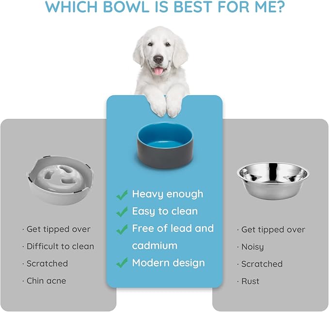SPUNKYJUNKY 13.5OZ Ceramic Dog and Cat Bowl, Modern Cute Weighted Food Water Bowl for Replacement Blue-Grey (2 Pack)