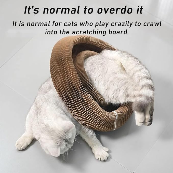 Claw Coil for Cats, Claw Coil, Cat Scratching Board with Bell, Magnetic Suction Interactive Indoor Playboard, Corrugated Paper, Does Not Take Up Space (A)