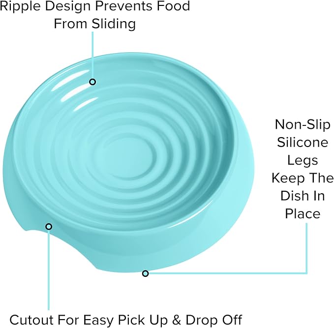 CatGuru Cat Bowls, Whisker Friendly Cat Food Bowl for Indoor Cats, Reliefs Whisker Fatigue, Wide Pet Bowl, Non Slip Pet Feeding Bowls, Shallow Kitten Dish (Aruba)