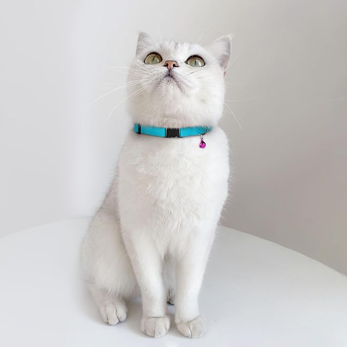 Breakaway Cat Collar Leather with Removable Bell - 13 Colors Available - Soft Adjustable Girl Boy Safety Lightweight Pet Kitten Collars Pink Brown Blue Green Red Orange Black (Emerald)