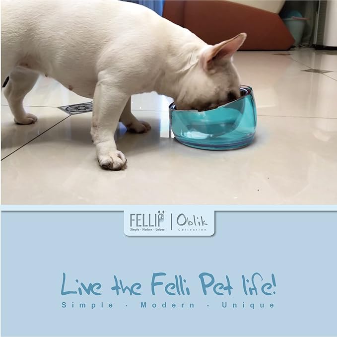 Felli Pet Oblik Slanted Dog Food Water Bowl Elevated Stainless Steel Oval Dish Ergonomic Angled Metal Feeder Spill Proof Non Slip, Raised Acrylic Cone for Bulldog Pug Small Medium (1.5Cup Sapphire)