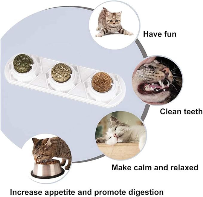 Catnip Wall Ball Toys – Rotatable Cat Snack Edible Balls with Natural Healthy Catnip | Silvervine | Gall Nut, Kitten Playing Chewing Cleaning Teeth Toy