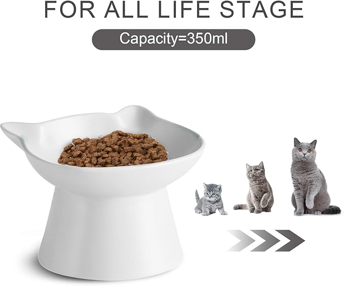 Ceramic Elevated Cat Bowl, Raised Cat Food Water Bowl for Indoor Cats with Stand, Titled Anti-Vomiting Cat Dish，Whisker Friendly, All Life Stage
