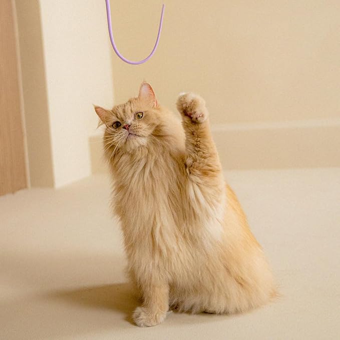 Catch Me If You Can! Silicone Cat Toy Teaser Wand – Durable, Easy-to-Clean Interactive Toy for Active Cats, Safe with Natural Predator Mimicking Movements