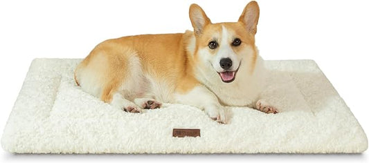 Fluffy Reversible Dog Bed Mat - Ultra Soft & Machine Washable Dog Crate Pad fit for Metal Kennel, Cozy Sleeping Mat, 35" x 22", Beige