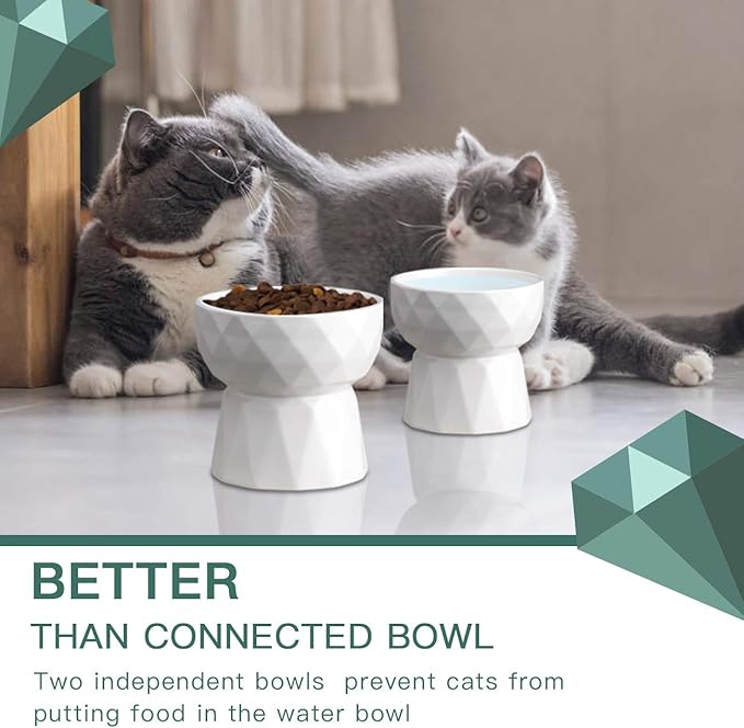 Frewinky Cat Bowls,Ceramic Cat Bowls Anti Vomiting,Raised Food and Water Bowl Set for Cats and Small Dogs,13.5 Oz
