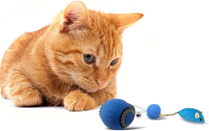 Interactive Cat Toy Ball | Automatic Moving, Mouse Tail Design and Mouse-Shaped Pendant | Rechargeable 3-Mode Rolling Toy for Indoor Kittens & Adult Cats