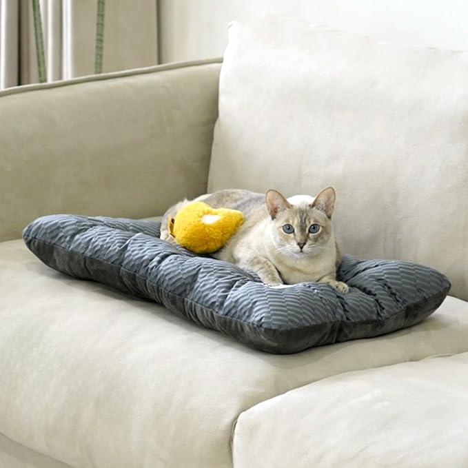 FUNNY FUZZY 24x18 Washable Dog Bed Reversible Crate Mat, 2 in1 Orthopedic Puppy Bed for Small Dogs/Cats, Fluffy Deluxe Kennel Mattress,Sleeping Pad,Charcoal Grey,S