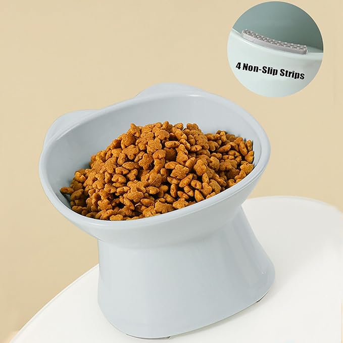 GKYZBB Elevated Cat Bowls, 15° Tilted Raised Cat Food Bowl Anti-Vomiting,Dog Kitten Food Dishes Pet for Cats and Small Dogs (Blue)