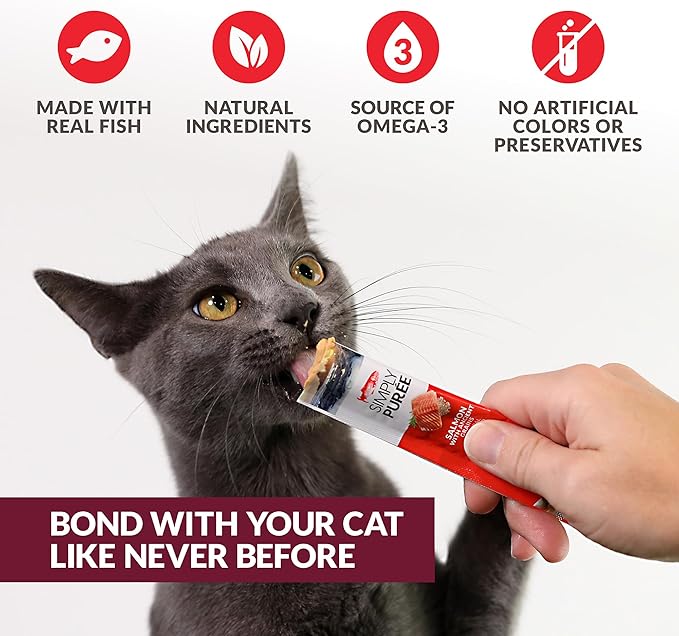 Simply Puree Salmon with Ancient Grains Tub for Cats | 48 Individual Servings | High-Protein, Grain-Enriched Cat Treat | All-Natural, No Artificial Additives | Smooth and Delicious Puree