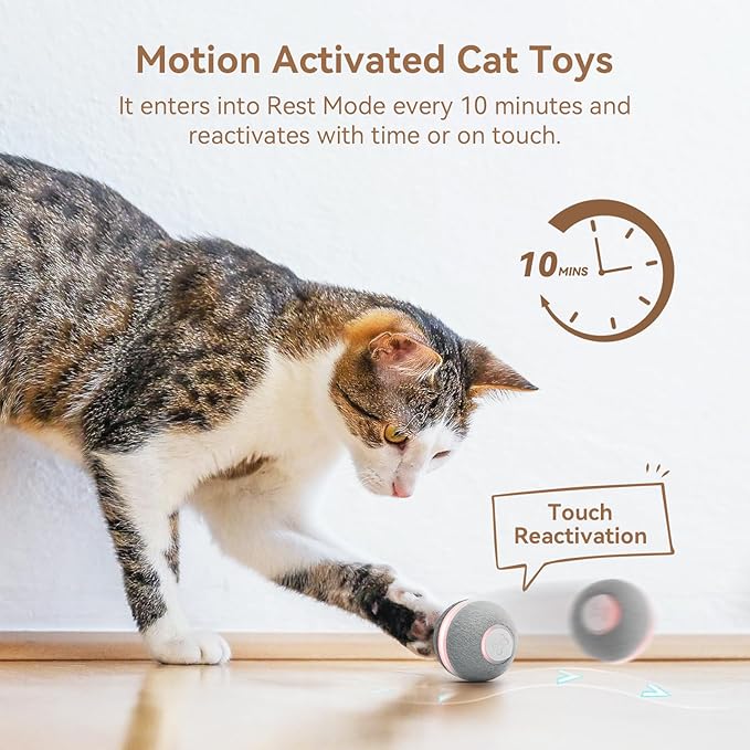 Cheerble Interactive Cat Toys for Indoor Cats, Automatic Cat Ball Toy for Bored Indoor Cats, Electric Kitten Toys with Light, Moving Stimulating Cat Toys,Grey