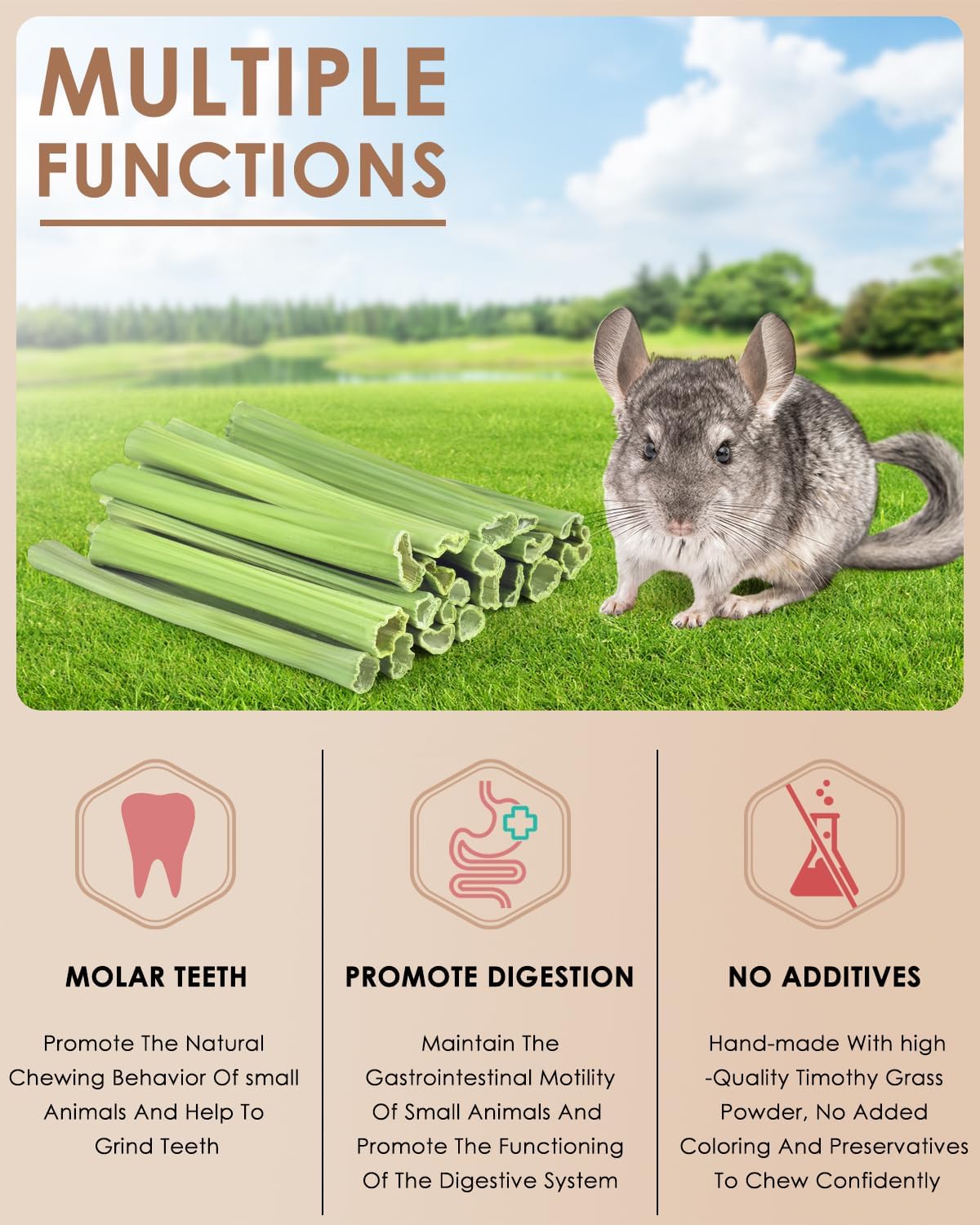 Bissap 25 PCS Guinea Pigs Chew Sticks, Natural Papaya Stems Bunny Chews Treats for Hamsters Chinchillas Small Animals Organic Molar Chewing Snack