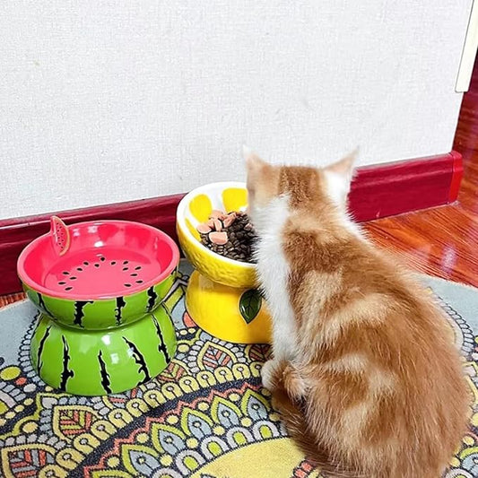 Hamiledyi Ceramic Raised Cat Bowl Anti Vomiting Elevated Tilted Cat Food & Water Bowls 2PCS Pet Feeder Dish for Indoor Kitty and Small Dogs (Watermelon & Lemon)