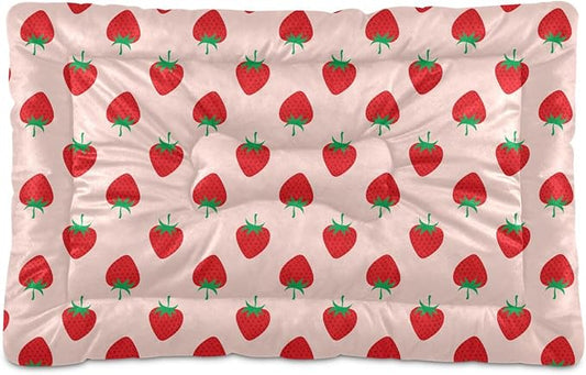 Pet Bed Strawberry Fruit Dog Bed Mat Absorbing Non Slip Pad Pet Sleeping Mat for Small, Medium, and Large Dogs Puppy Cat 24 in x 18 in