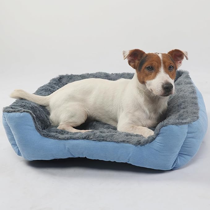 Rectangle Pet Beds for Small Dogs Washable,Fluffy Blue Cat Bed for Indoor Anti Slip Super Comfort Square Sherpa Pet Bed Fits up to 20 lbs Kitty or Puppy,20 inch