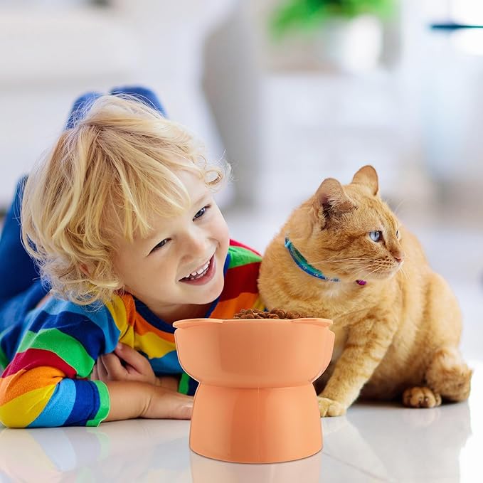 Hsei 6 Pcs Raised Cat Food Bowls 15 Degrees Elevated Pet Bowls Anti Vomiting Tilted Raised Whisker Friendly Raised Cat Dish Plastic Slanted Stand for Indoor Pet Food Water Feeder(Cute Color)