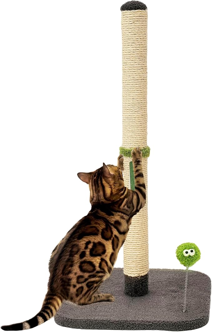 TINYBEAST 34" Tall Cat Scratching Post for Indoor Cats, Premium Natural Sisal Scratcher with Interactive Plush Toy Ball, Reinforced Stable Base for Large Adult Cats & Kittens(Grey)