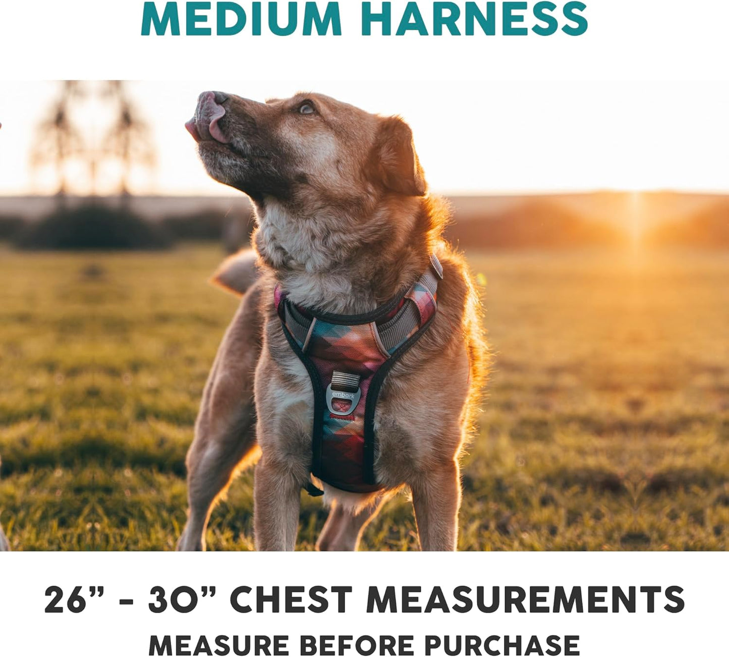 Embark Adventure Dog Harness, Reflective Trim No Pull Harness for Medium Sized Dog - Military Grade Nylon, Front Clip with Gel Lined Handle. Soft & Padded Puppy