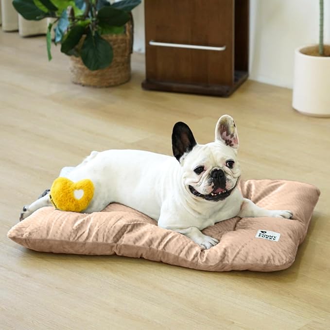 FUNNY FUZZY 30x20 Washable Dog Bed Crate Mat, 2 in1 Pet Pillow Sleeping Bed, Fluffy Deluxe Kennel Mattress for Medium Dog and Cat,Charcoal Grey,M,Beige