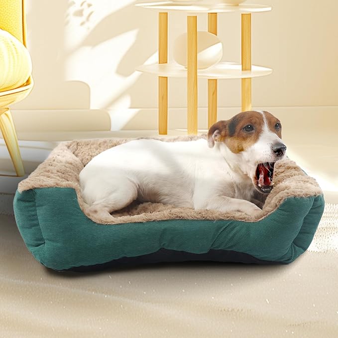 Small Dog Bed Washable for Dogs Calming Space 20"X19",Kitten Beds for Indoor Kittens Up to 20 Lbs Pet Sofa with Side Rectangle Anxiety Doggy Kennel and Anti Slip Bottom Plush Cuddle Puppy Bed,Green