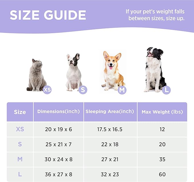 LE SURE Cute Dog Bed for Small Dogs & Cats- Washable Puppy Beds,Cozy Rectangle Orthopedic Pet Sofa with Jacquard Shaggy Plush & Anti Slip Bottom,20x19x6inches