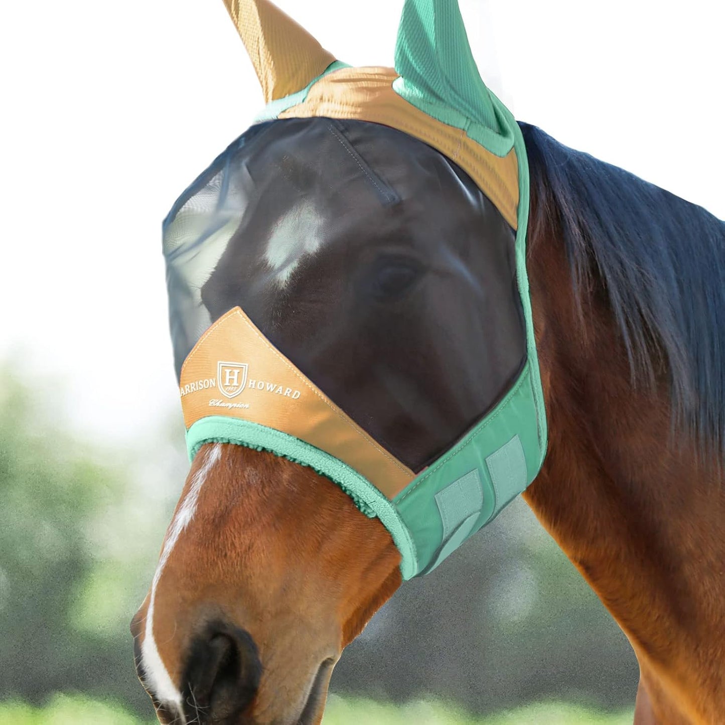 Harrison Howard Pro Luminous Horse Fly Mask Standard with Ears UV Protection for Horse Champagne Gold/Mint Medium Cob