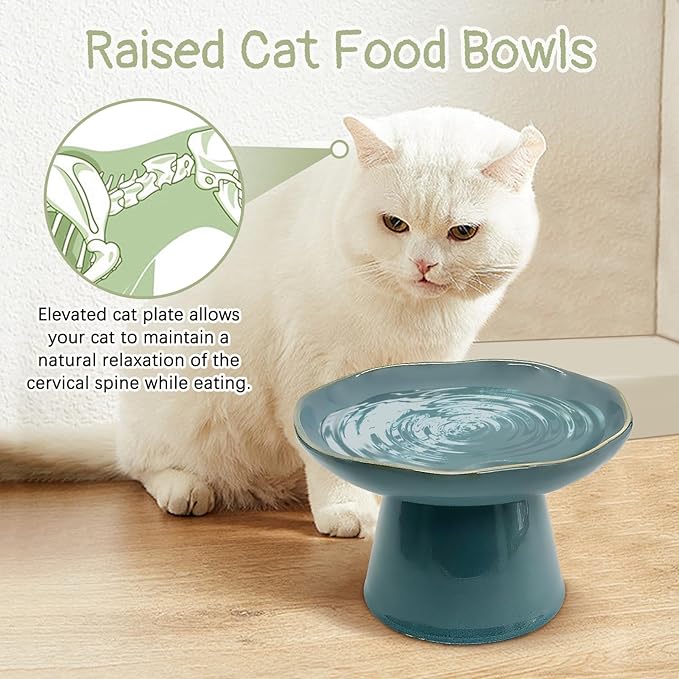 VCEPJH Raised Cat Food Bowls Shallow Cat Plate Ceramic Elevated Cats Dish 6.1in Flat Anti Whisker Fatigue Wide Pet Food & Water Feeder for Indoor Kitty Kitten (Blue)