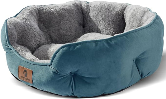 Asvin Small Dog Bed for Small Dogs, Cat Beds for Indoor Cats, Pet Bed for Puppy and Kitty, Extra Soft & Machine Washable with Anti-Slip & Water-Resistant Oxford Bottom, Teal, 20 inches