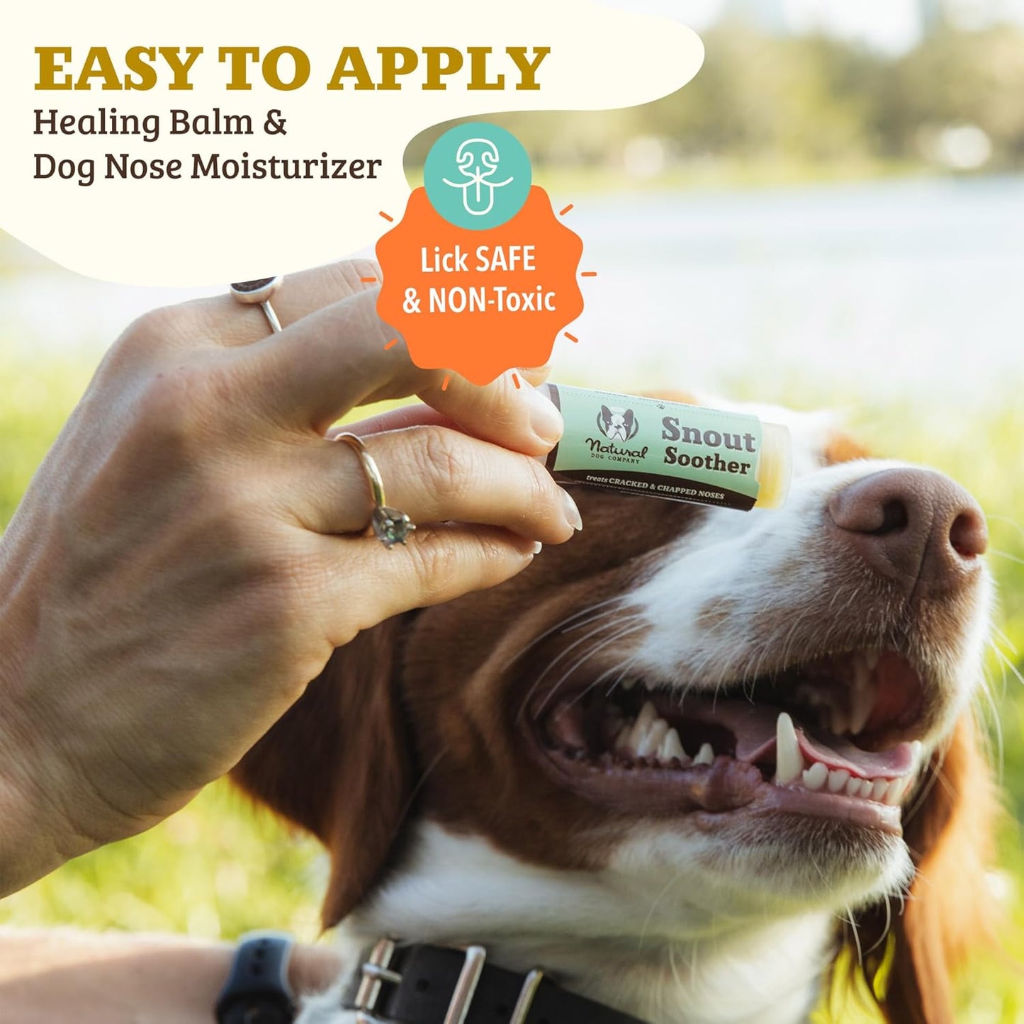 Natural Dog Company Snout Soother Bundle, Includes 2oz Tin + 0.15oz Stick, Dog Nose Balm for Chapped, Crusty and Dry Dog Noses, Organic, All Natural Ingredients, Packaging May Vary