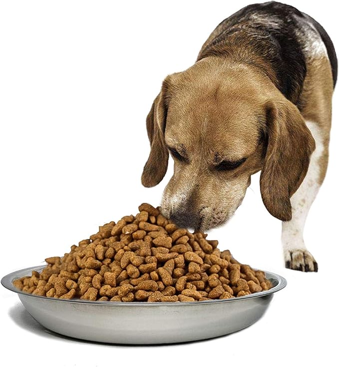 kathson Stainless Steel Whisker Relief Cat Bowl, 4 pcs Shallow and Wide Bowls, Pet Cat & Dog Feeding Large Dishes Fits with Elevated Stands Pet Bowl Stand (10.22 Inch Dia.)