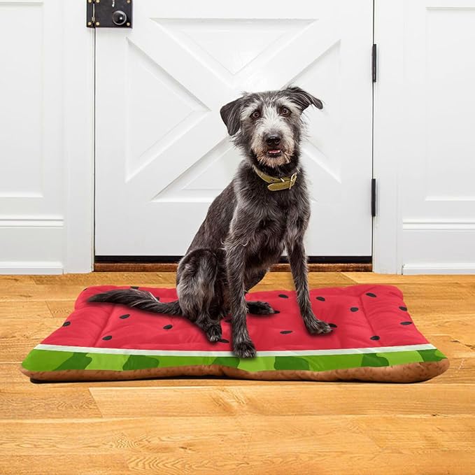 Watermelon Fruits Pet Bed Cute Dog Bed Mat Absorbing Non Slip Pad Pet Sleeping Mat for Small, Medium, and Large Dogs Puppy Cat 24 in x 18 in