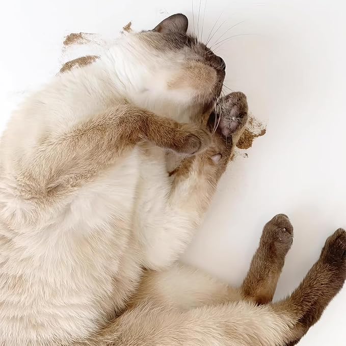 Cat Toys - Silvervine Powder for Cats, 100% Natural Catnip Alternative, 25G (0.88OZ), Safe for All Cat Ages, Matatabi Gall Fruit Powder