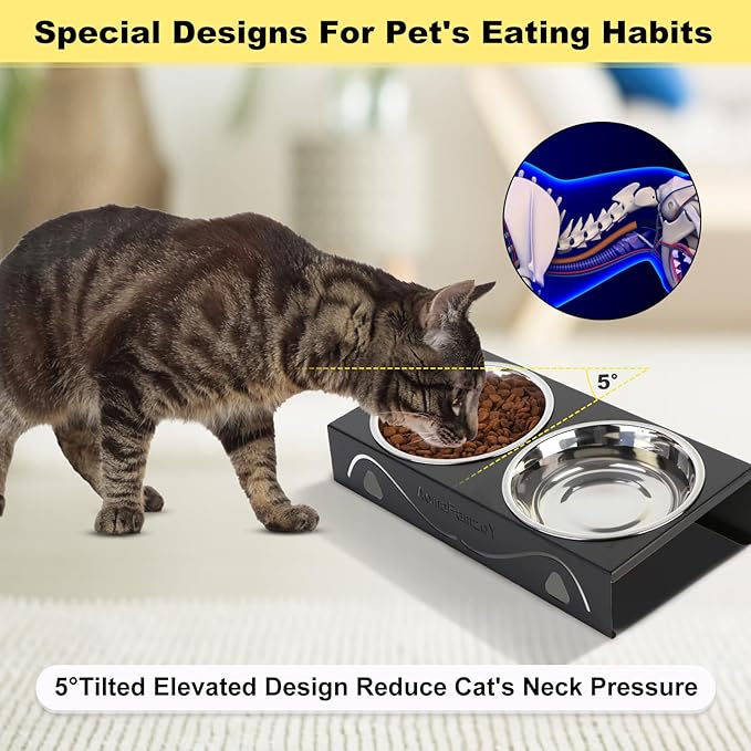 2 Pack Cat Food Bowls - Indoor Set with Metal Stand,5° Tilted Anti Vomiting Wide Raised Pet Dish,Cute Elevated Cat Feeding Station for Food Water, 4 Stainless Steel Bowls for Multiple Kitten,Puppy