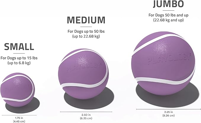 Playology Dog Toys | Squeaky Chew Ball - Squeaky and Bouncy Durable Floating Fetch Ball for Dogs | Jumbo Cheddar Cheese Scented Toy - Easy to Clean and Made from Non Toxic Materials