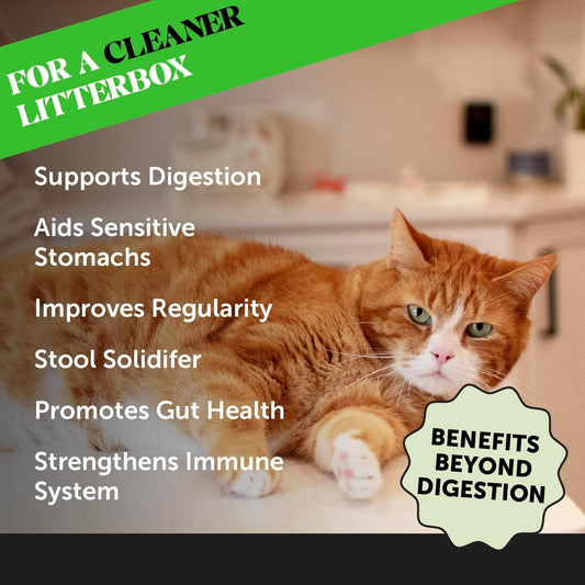 Digestive Probiotic Powder Supplement for Cats - Digestive Support + Gut Health, Probiotic for Cats, Cat Constipation Relief, Bowel Support, Immunity & Overall Health - 120 Scoops