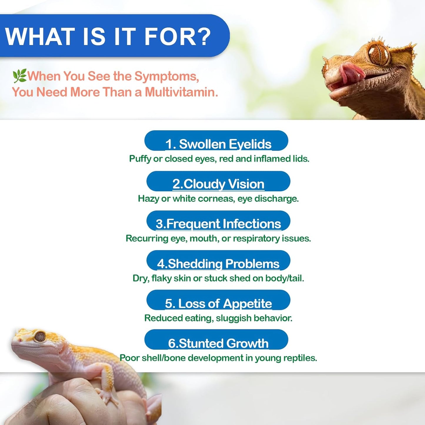 Reptile Vitamin A Supplement – Eye Health Support for Lizards, Turtles, Snakes & Amphibians – Promotes Growth, Vision & Immunity