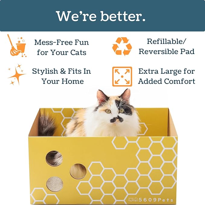 Heavy Duty Cardboard Cat Scratcher Box with Refillable Double-Sided Cat Scratching Board for Indoor Cats