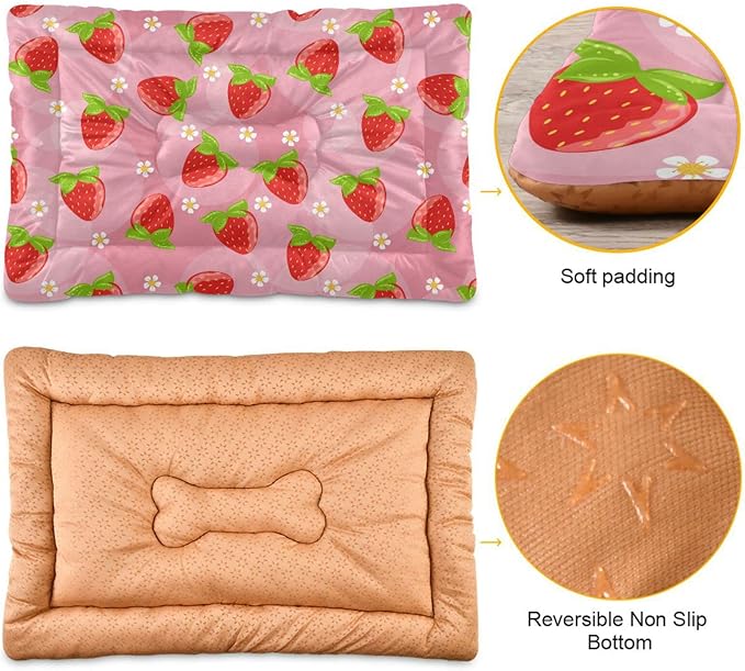 Pet Bed Strawberry Fruits Dog Bed Mat Absorbing Non Slip Pad Pet Sleeping Mat for Small, Medium, and Large Dogs Puppy Cat 36 in x 24 in