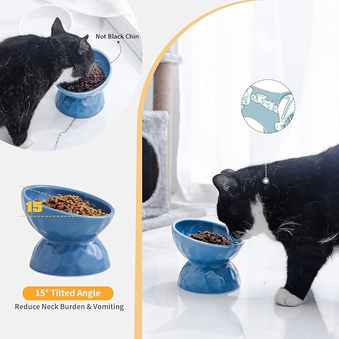 AOMRYOM Raised Cat Food Bowl, Ceramic Elevated Tilted Cat Bowls, Pet Bowl Dish Set for Cats and Small Dogs, Protect Cat's Spine, White & Blue, Set of 2, Dishwasher and Microwave Safe