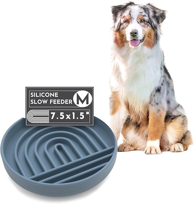 The Slowdown Bowl Silicone Slow Feeder for Dogs & Puppies, Slow Eating, Modern Lick Mat Design, Reduces Gulping, Fits 2 Cups 7.5” Across x 1.5” Tall, Mealtime Challenge, Medium-Ocean