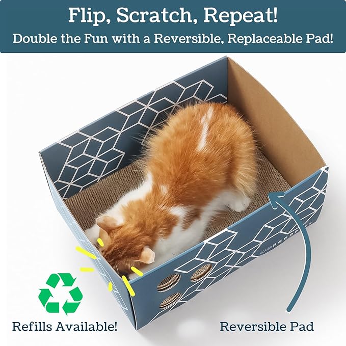 Heavy Duty Cardboard Cat Scratch Box with Refillable Double-Sided Cat Scratcher Pad for Indoor Cats