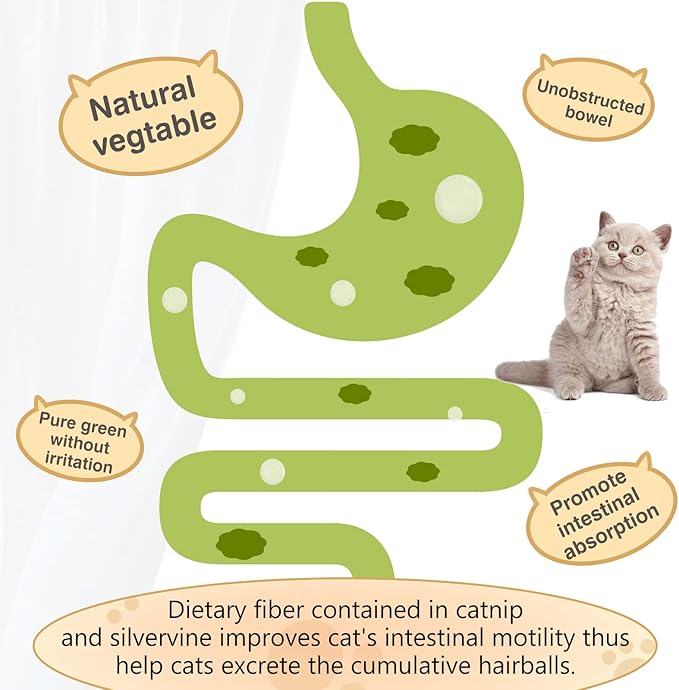 3 Pack Catnip Balls, Catnip Ball for Cats Wall, Edible Kitty Toys for Cats Lick, Safe Healthy Kitten Chew Toys, Teeth Cleaning Dental Cat Toys, Cat Wall Treats (Grey)