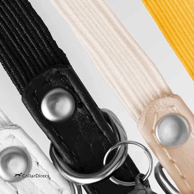 CollarDirect Leather Cat Collar, Kitten Collar with Removable Bell Black Blue Red Orange Lime Green (8-11 Inch, Purple)