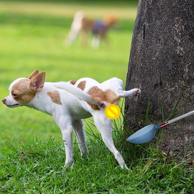 QMARK Telescopic Urine Collector, Reusable Dog Urine Sample Catcher, Cat Pee Stick for Veterinary Supplies. with 2 Spoons and 2 Collection Cups